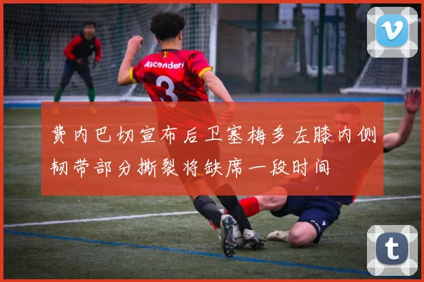 费内巴切宣布后卫塞梅多左膝内侧韧带部分撕裂将缺席一段时间