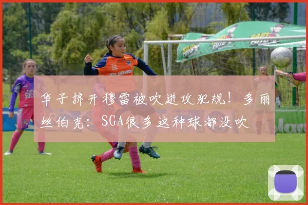 华子挤开穆雷被吹进攻犯规！多丽丝伯克：SGA很多这种球都没吹