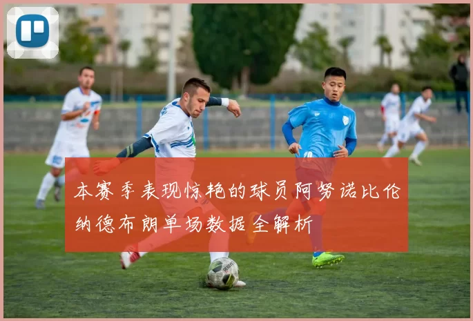本赛季表现惊艳的球员阿努诺比伦纳德布朗单场数据全解析
